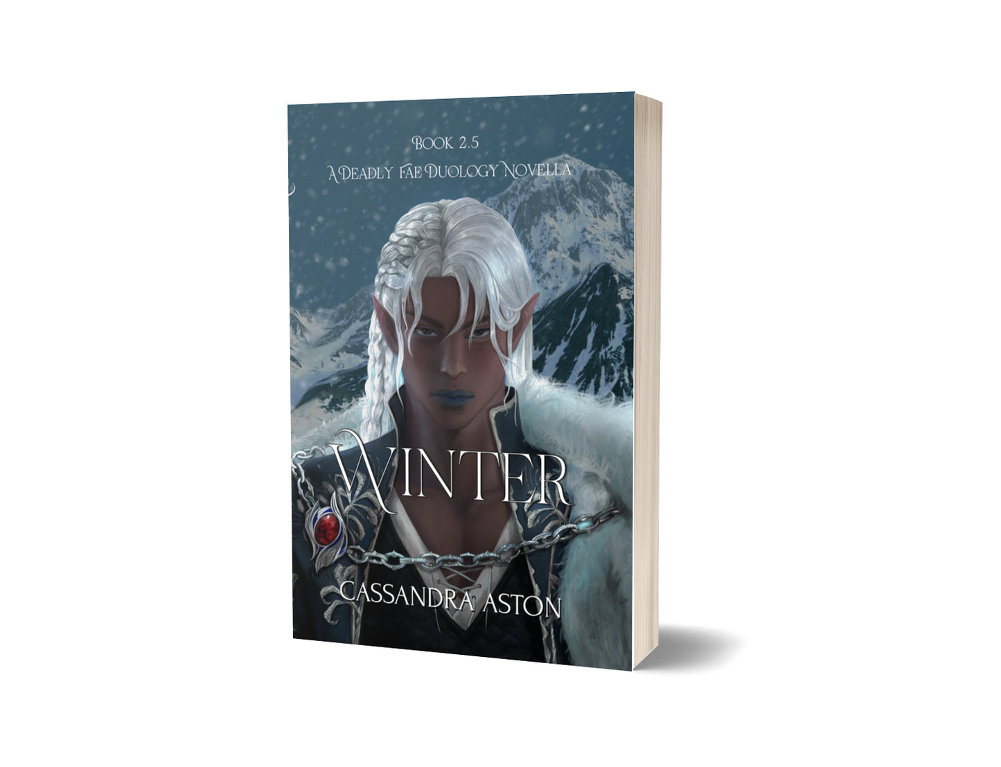 Winter (paperback)