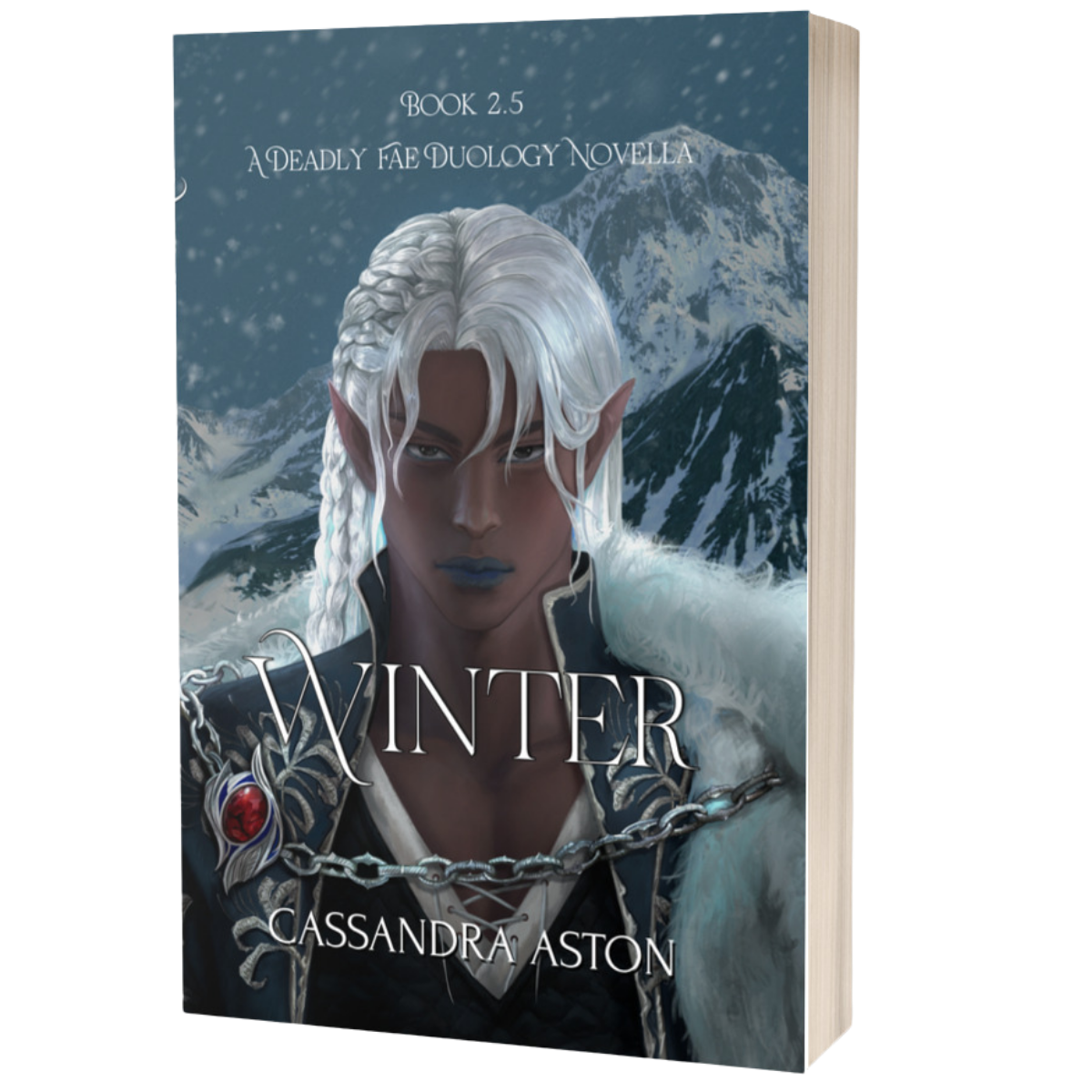 Winter (paperback)