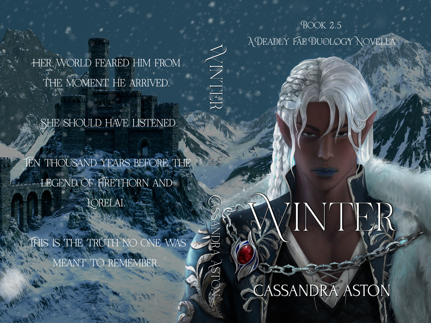 Winter (paperback)
